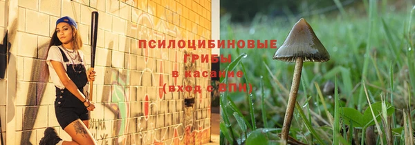 сатива Аркадак